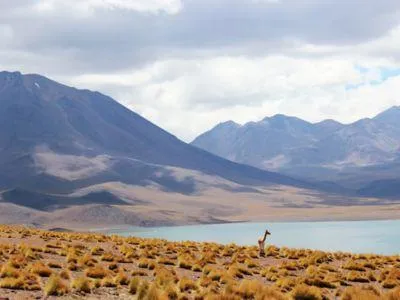 Effiziente Düngung und Bewässerung in Chile